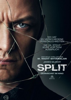 Split 2D