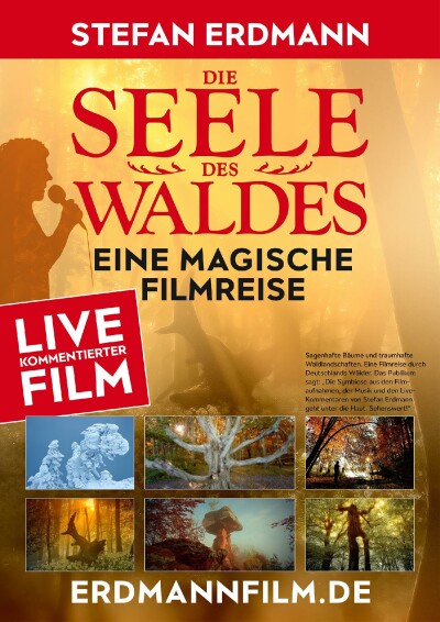 Bild zu DIE SEELE DES WALDES und ISLAND 63 66N - 1