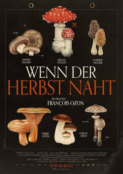 Bild zu Alles rund um den Kinobesuch - 4