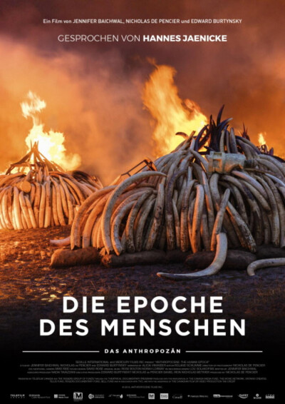 Bild zu Umweltfilmreihe - 1