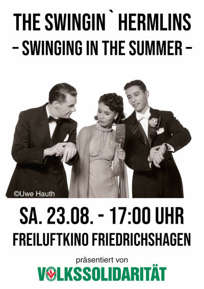 Bild zu The Swingin`Hermlins - Swinging in the summer - 1