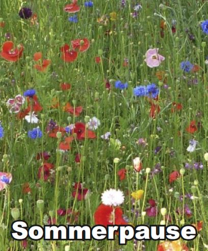Bild zu SOMMERPAUSE - 1