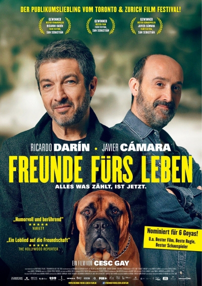 Joki Kino Freunde Furs Leben Alles Was Zahlt Ist Jetzt