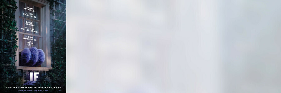 Google Bilder